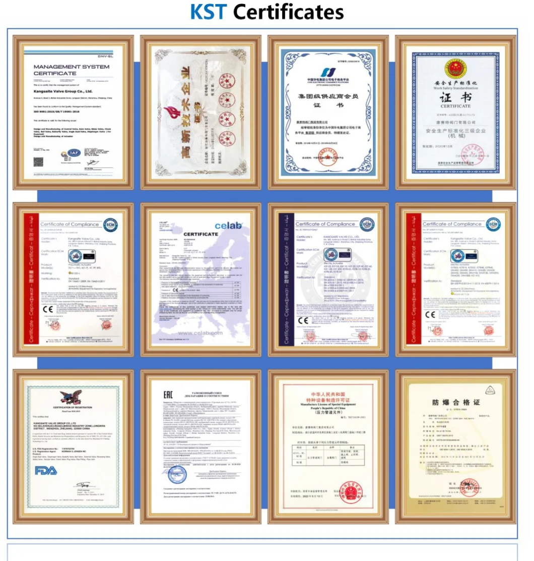 Intelligence Positioning &Proportional Control Pneumatic Sanitary Clamp Diaphragm Valve