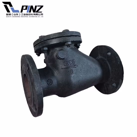 Edelstahl-Sanitärsanitaire, Lebensmittelqualität, Milch, pneumatische Vakuumklappe, Membran, Sicherheitsventil, Kugelrückschlagventil (JN-BV1001)